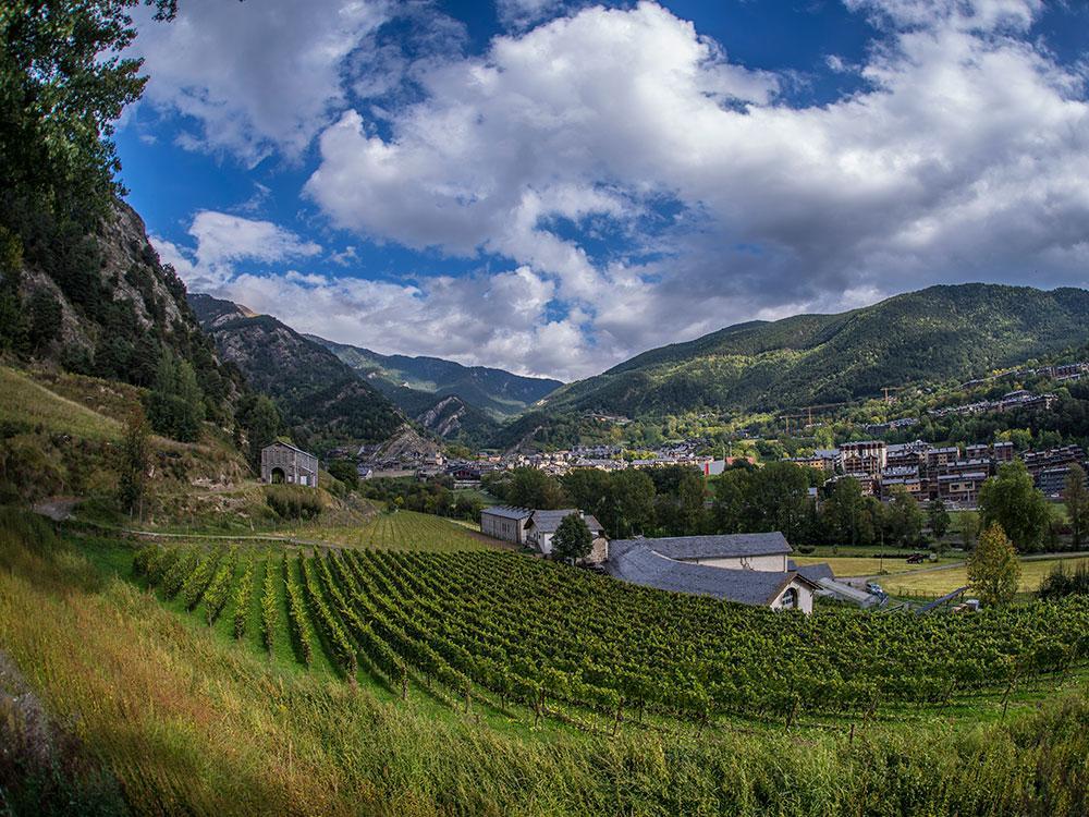 imagen de un viñedo de Andorra